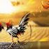 cách chơi bài tứ sắc tại Mot88 – game bài thu hút người chơi ngay từ lần đầu tiên